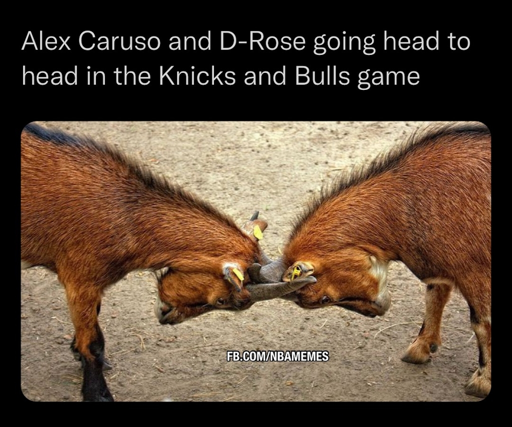 Legendary matchup for sure 😏

#Drose #Caruso #Bulls #Knicks