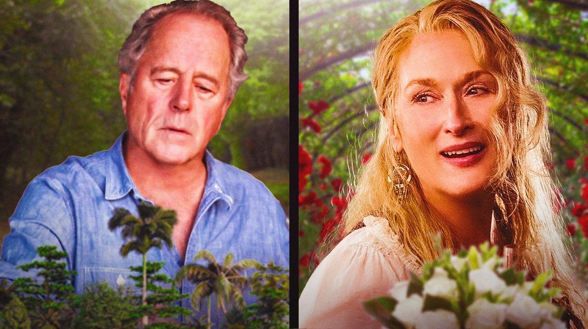 Meryl Streep and Don Gummer with a split between them.