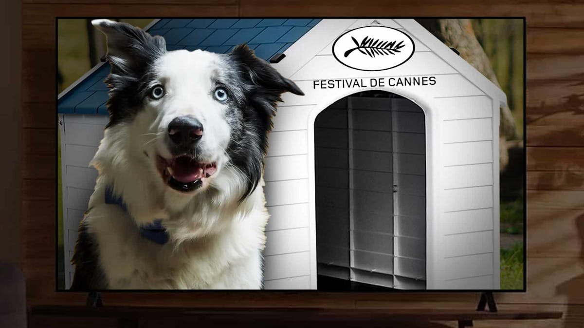Messi, Cannes Film Festival logo on a doghouse