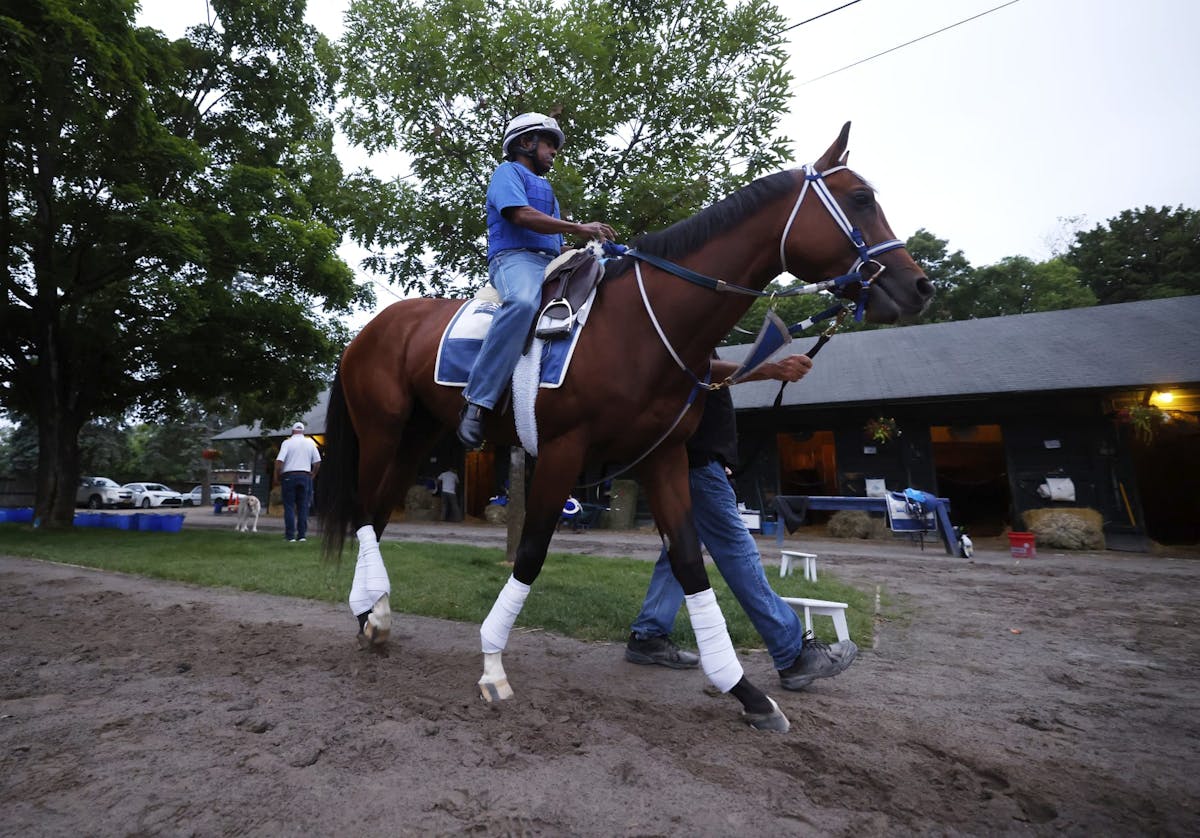Belmont Stakes Odds 2024: Final Predictions on Latest Vegas Betting Lines