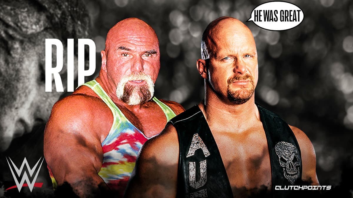 WWE, "Stone Cold" Steve Austin, "Superstar" Billy Graham, Stone Cold Takes on America, WWE Champion