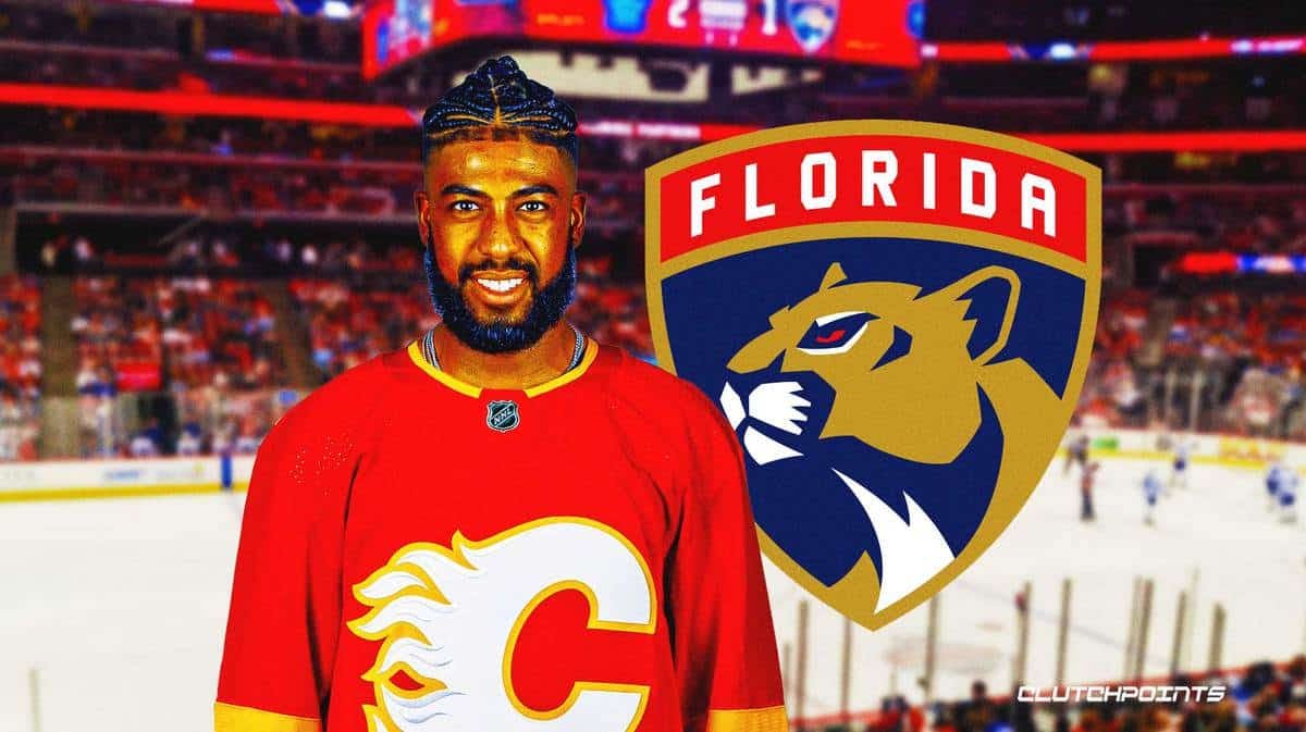 Panthers, Anthony Duclair, Anthony Duclair trade, Panthers trade, Anthony Duclair Panthers
