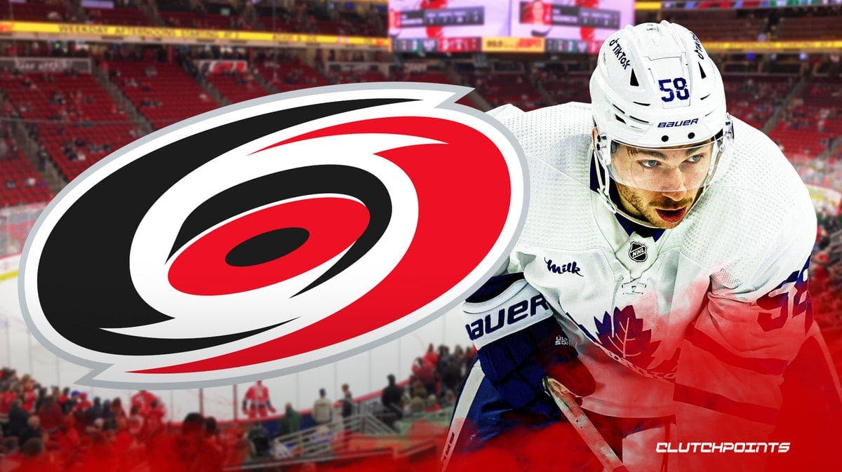 Michael Bunting, Michael Bunting contract, Hurricanes, Hurricanes free agency, NHL Free Agency