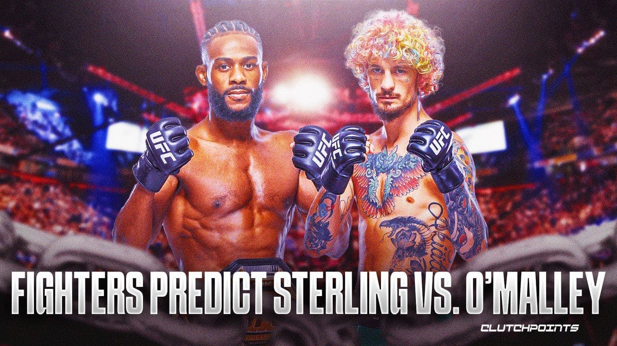 UFC 292, Aljamain Sterling, Sean O'Malley