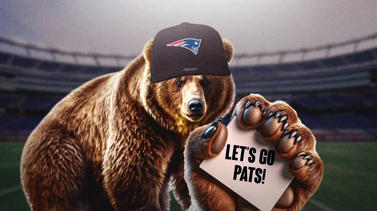 Bears were pulling for the New England Patriots against the Pittsburgh Steelers last night