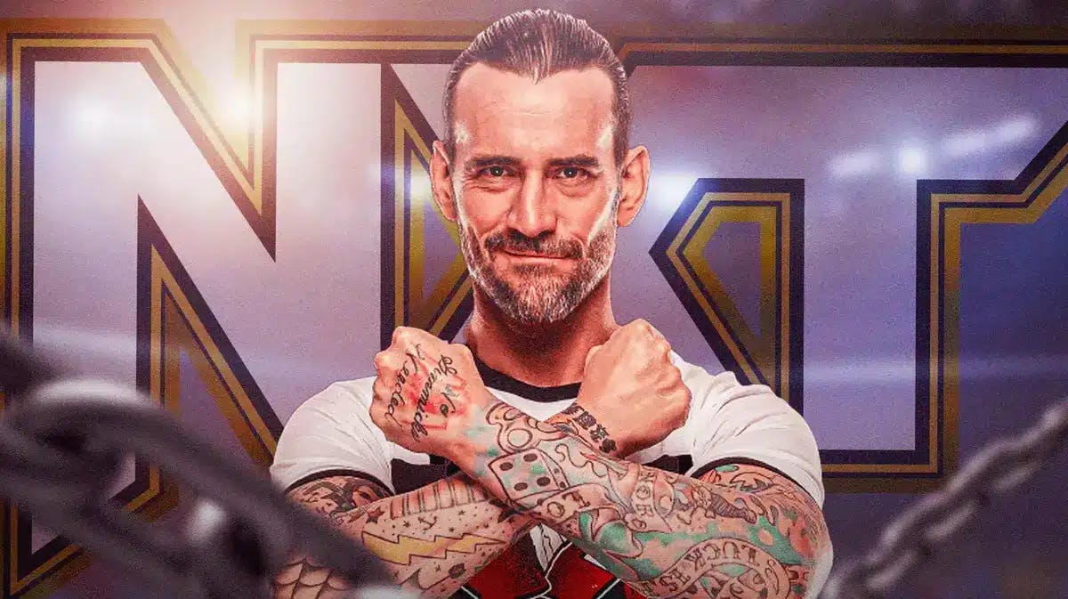 CM Punk in front of the NXT logo as the background.