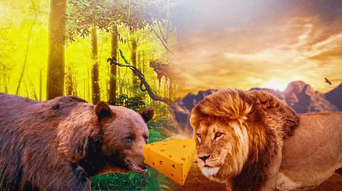 Bears and Lions fighting over a Packers cheesehead