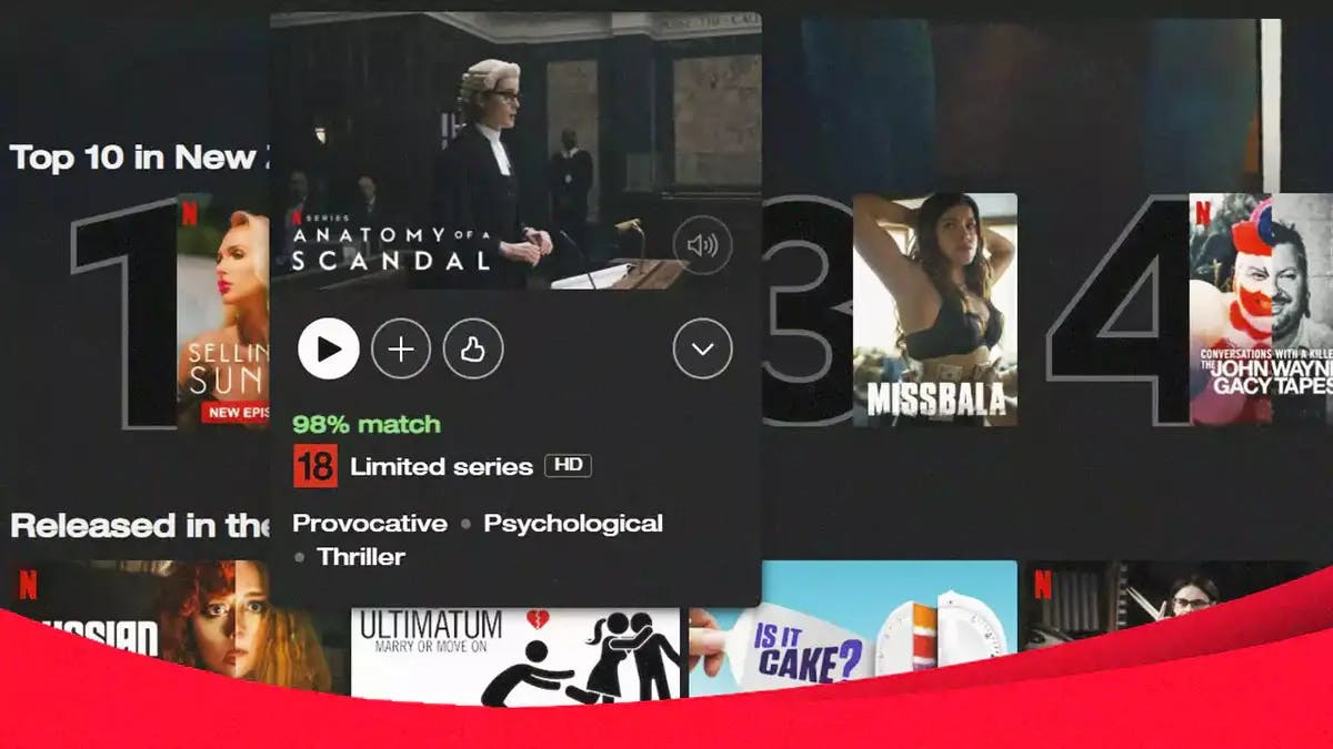 Netflix screen with the match percentage displayed.