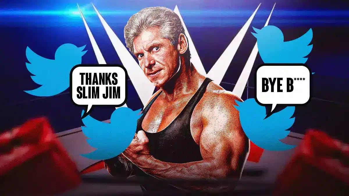 Vince McMahon surrounded by Twitter birds with one having a text bubble reading “Bye B****” with the WWE logo as the background.