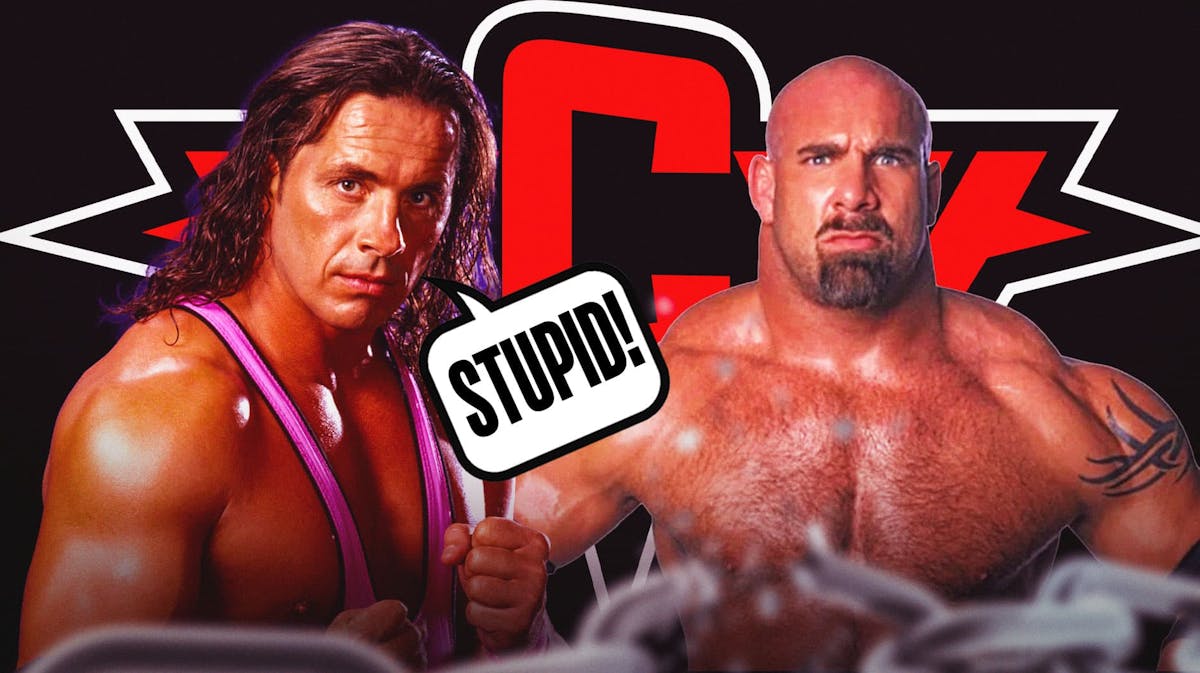 Bret Hart with a text bubble reading "Stupid!" next to Bill Goldberg with the WCW logo as the background.