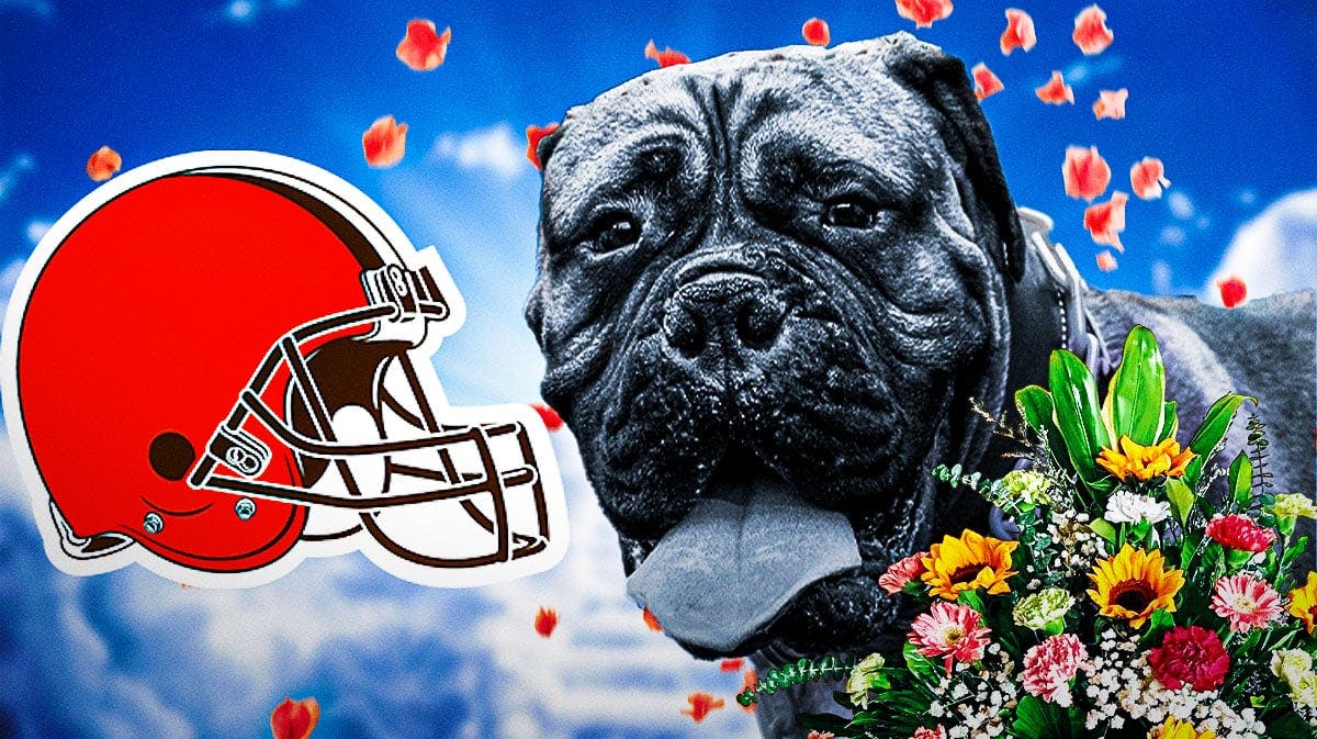 Cleveland Browns logo, with dog SJ.