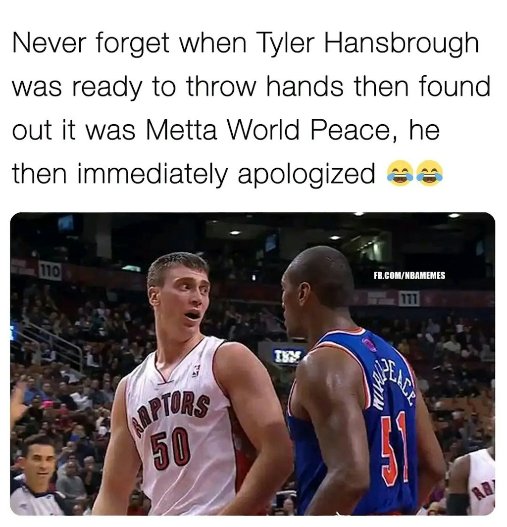 Tyler realized that there were levels to this😂

#ronartest #mettaworldpeace #knicks #raptors