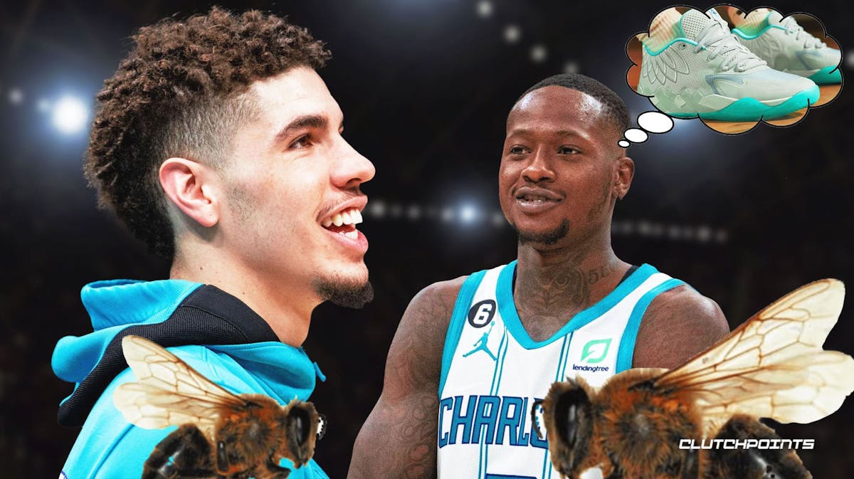 Terry Rozier LaMelo Ball Hornets