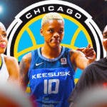 Chicago Sky, Courtney Williams, Elizabeth Williams, Isabelle Harrison, WNBA free agency