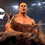 John Cena, WWE, Roman Reigns