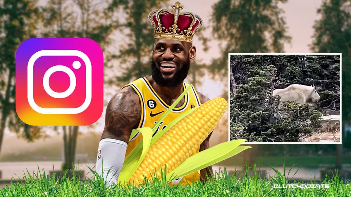 LeBron James Lakers corny goat GOAT Instagram IG
