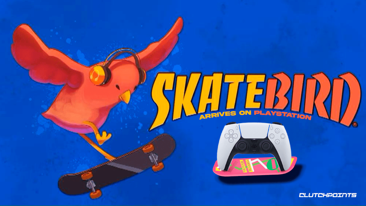 Skatebird PlayStation PS4 PS5