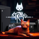 Stray Xbox Release Soon Series X One