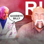 WWE, "Superstar" Billy Graham, Ric Flair, Paul Heyman, Dave Meltzer,