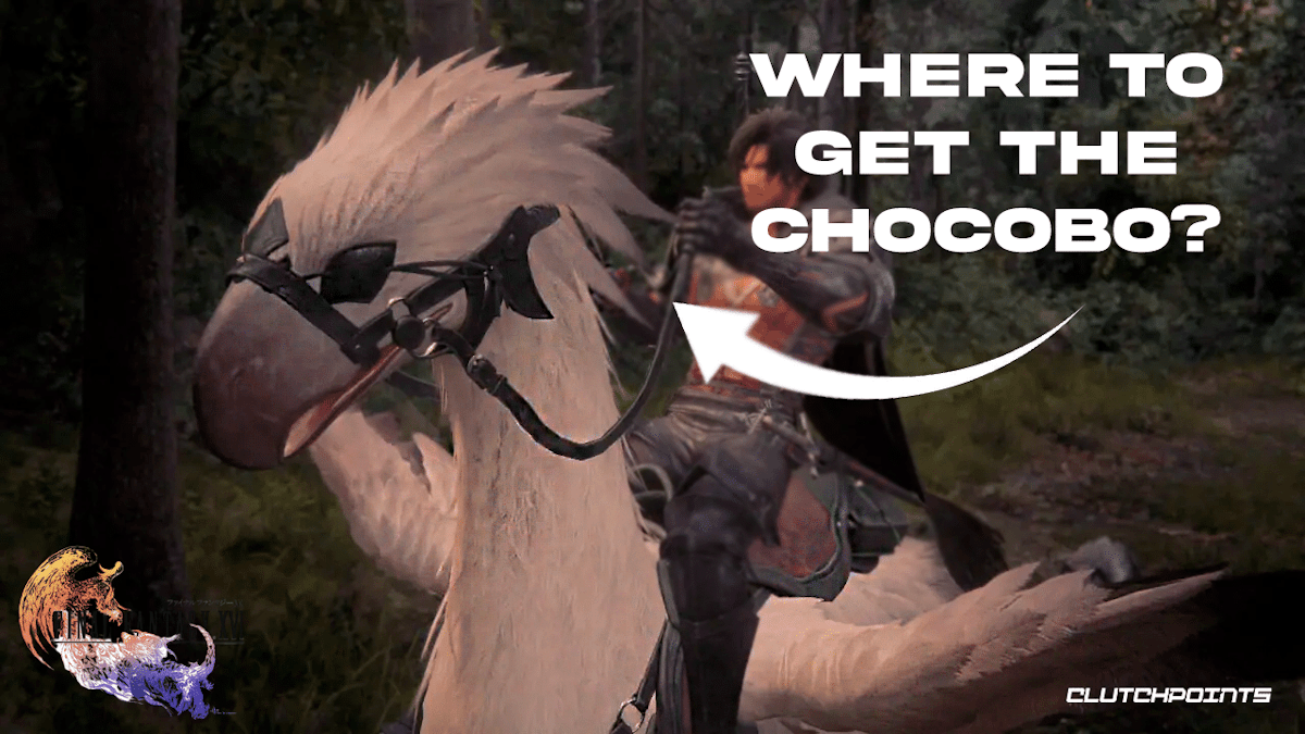 Final Fantasy 16 FF16 How to Get Chocobo