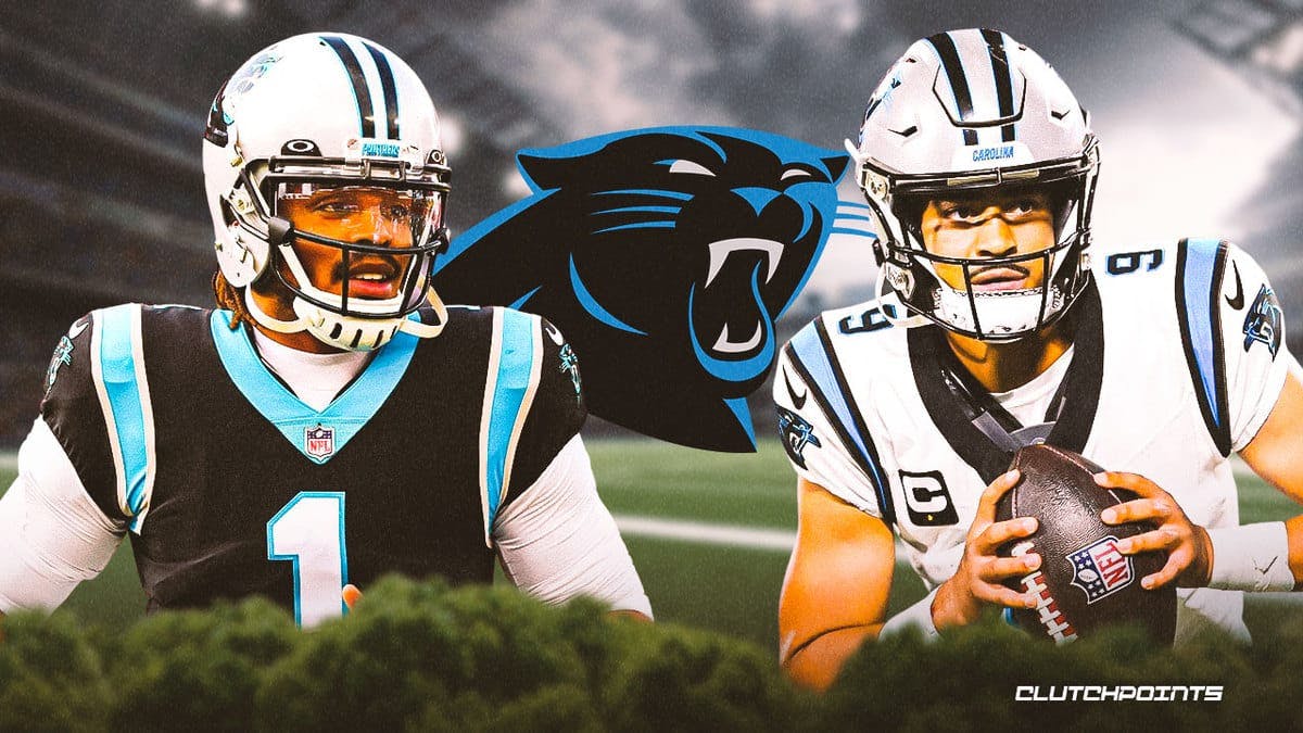 Bryce Young, Panthers, Bryce Young Panthers, Cam Newton