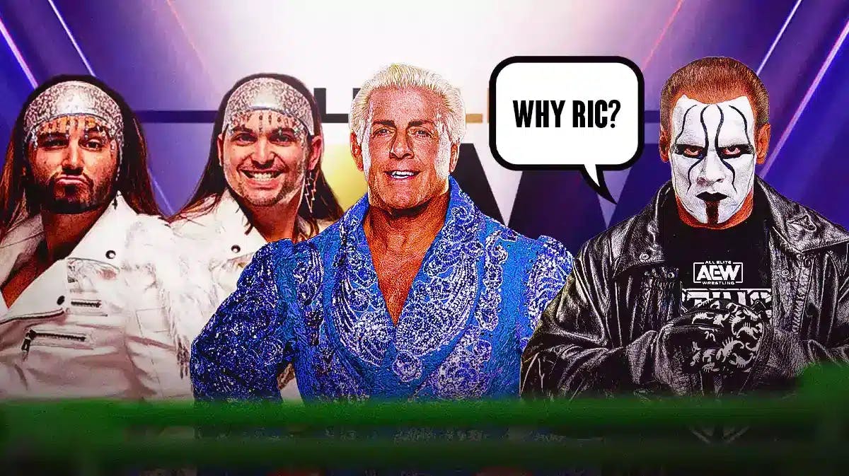 Ric Flair and the Young Bucks on the left, Sting on the right with a text bubble reading “Why Ric?” with the AEW logo as the background.
