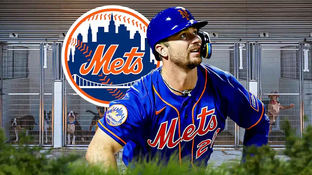 Mets' Pete Alonso pads his stats in New York with animal shelters in the background, NL East views watch from afar