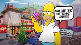 Homer Simpson with speech bubble, "Mmm, everything but the donut seasoning" and a picture of Trader Joe's and Springfield in the background