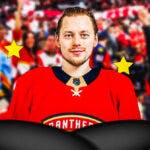 Vladimir Tarasenko on one side in a Florida Panthers jersey with a speech bubble that says “Let’s get to work!” a bunch of Florida Panthers fans on the other side with stars in their eyes