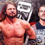 AJ Styles "My thoughts on Punk?" next to CM Punk with the WWE logo as the background.