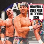 The 2024 Young Bucks with a text bubble reading "Nobody does a Ladder match like the Young Bucks" next to FTR with the AEW Dynasty logo as the background.
